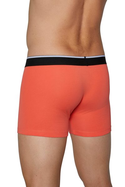 Photo 3 de Lot de 2 boxers yeux noir et corail