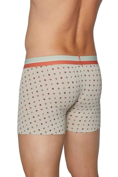 Photo 4 de Lot de 2 boxers motifs écru et corail