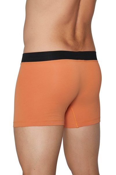 Photo 4 de Lot de 2 boxers pastèques et orange