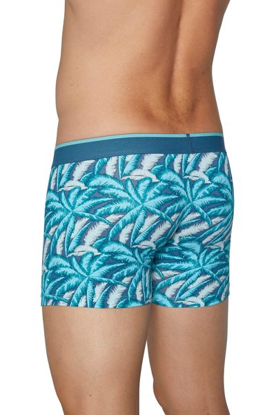 Photo 4 de Lot de 2 boxers palmes turquoise