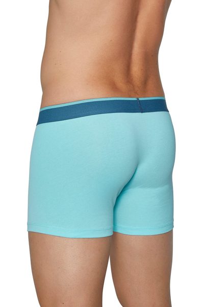 Photo 7 de Lot de 2 boxers palmes turquoise